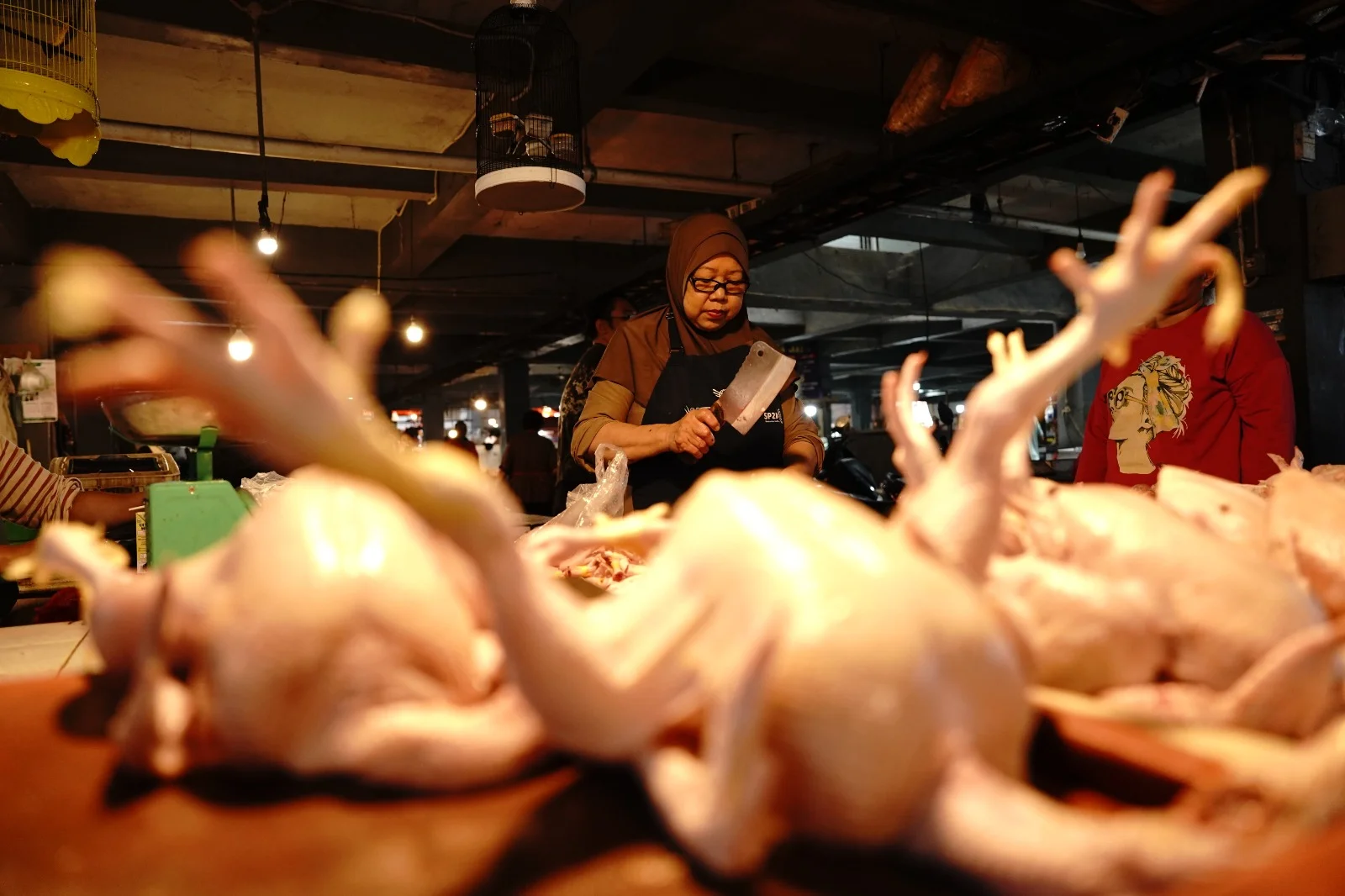 Impor Ayam dan Telur untuk Program MBG Dinilai Tidak Tepat
