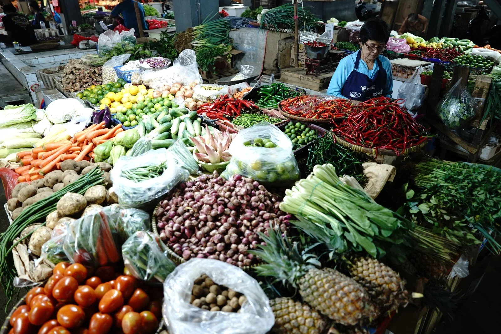 BPS Catat Inflasi Indonesia Capai 0,41% pada Maret