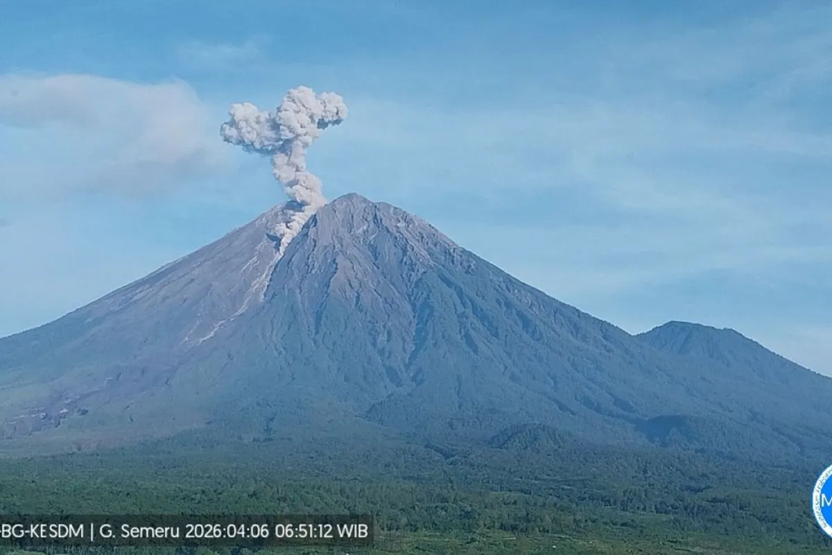 Semeru Siaga, Erupsi Tujuh Kali dan Muntahkan Kolom Abu Hingga 1,1 Km