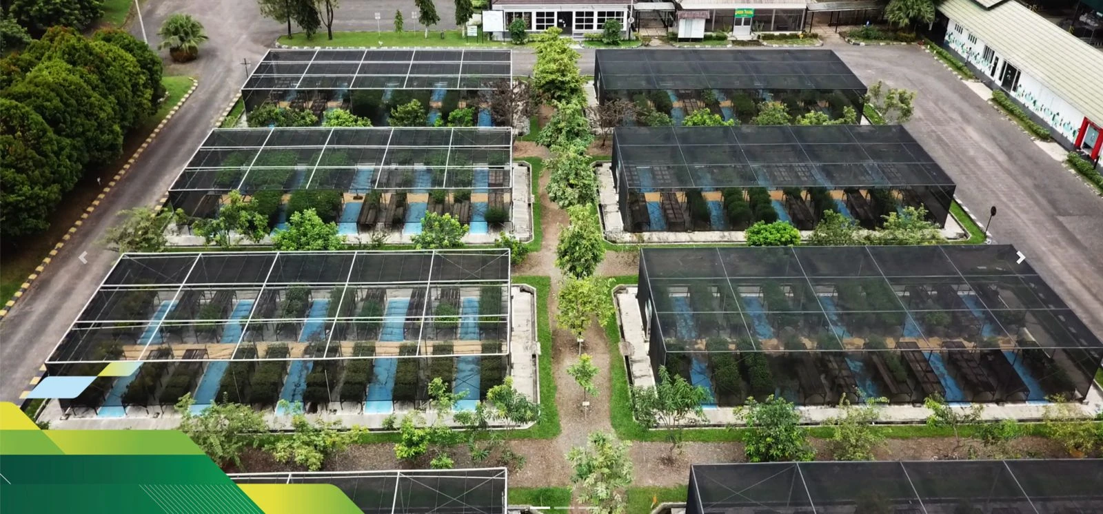 Adaro Andalan (AADI) Lepas 47,99% Saham Kestrel Coal Group di Australia