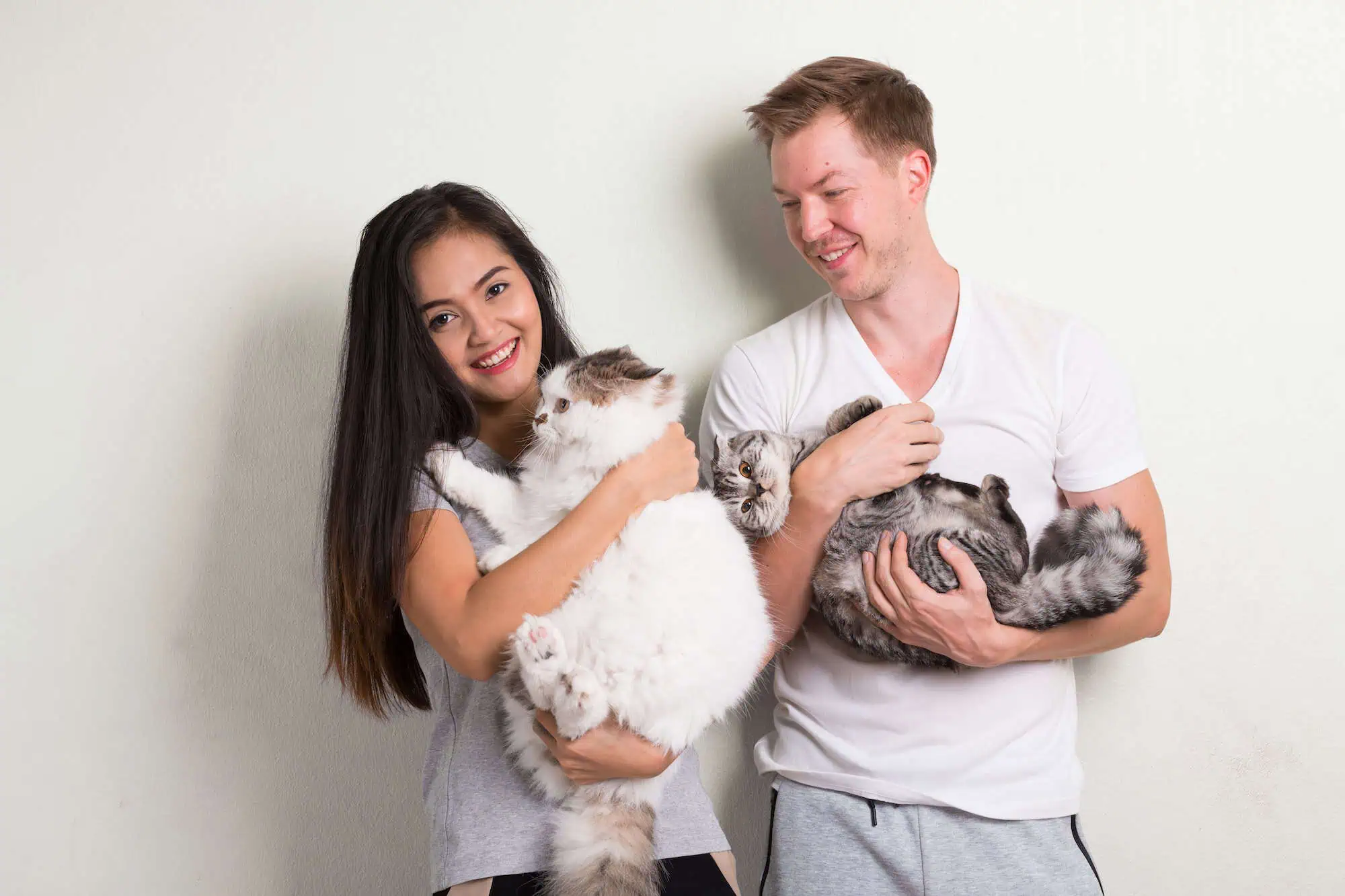 Cat Lovers Merapat! Riset Buktikan Punya Kucing Bikin Jantung Lebih Sehat